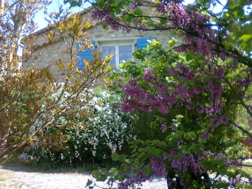 La Nichoule Villa Rosières Rom bilde